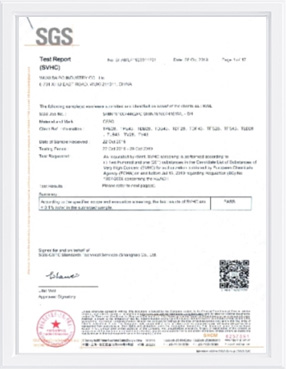 REACH Certificate